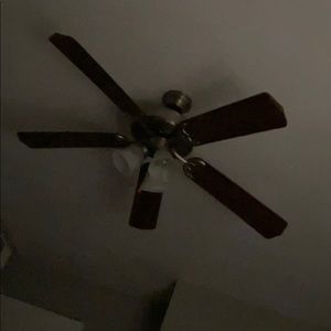 Meet your Posher, Zully